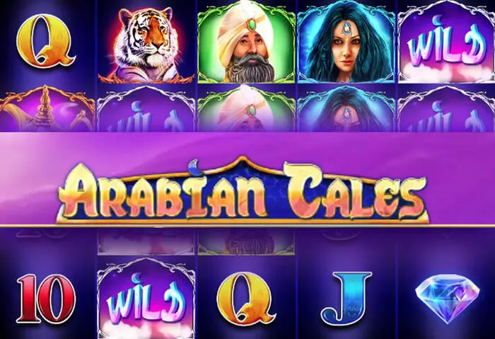 Daily Corgibet Casino Promotions & Bonuses calendar